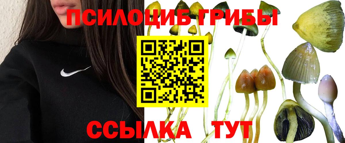 Галлюциногенные грибы Psilocybe  Вход с VPN  Омск 